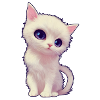 chat mignon