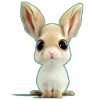 extremely sweet rabbit