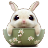 Lapin doux en coquille