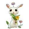 Petit Lapin 2