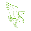 Eagle single line / one line