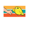 Best Canary Mom Ever