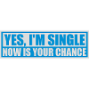 single now your chance
