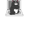 chat jaloux
