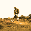 bmx race racing vtt motocross