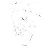 Father bearded Father with beard