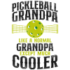 Pickleball Grandpa Pickleball