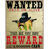 Taco wanted