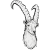 Steinbock Sternzeichen