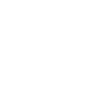 Steinmetz Definition