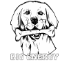 DOG BONE BIG ENERGY