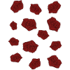 Blooming roses | Rose petals | Red