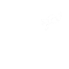 Cat Book Lovers Read Books