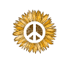 Hippy