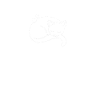 Cat Book Lovers Read Books