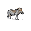 Funny Warthog Saying