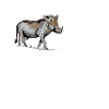 Warthog saying