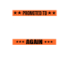 Forfremmet til Auntie Again est 2023 /AuntieTo Be