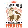 Ferret Lover Ferret Gift