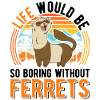 Ferret Lover Ferret Gift