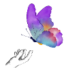 rainbow butterfly