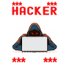 Programmer Cyber Security