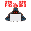 Programmer Cyber Security