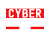 Programmer Cyber Security