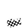 checkmate cat chess piece chessboard