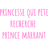 princesse qui pete recherche prince marrant