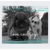 Love and Joy