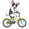 Rat Terrier Dog Bike Cycling