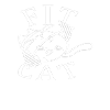 Fit Cat