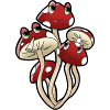 Champignon