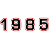 1985 Year Number