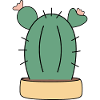 Cactus, cacti, succulents, plant