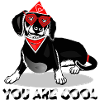 Dog glasses cool dachshund