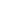 Professor für Kunstgeschichte