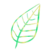 Leaf symbol nature green