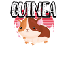 Cochon d’Inde Mama