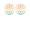 Two dart discs