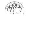 Fléchettes dans l’évolution
