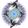 Whale Kaleidoscope 01