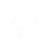 Pickleball Pickleball Et Chiens