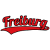 Freiburg Germany Hometown
