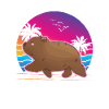Wombat australien