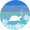 Tortue rétro