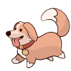 Chien mignon