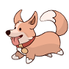 Cute dog
