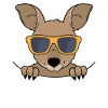 Sweet Kangaroo With Sunglasses